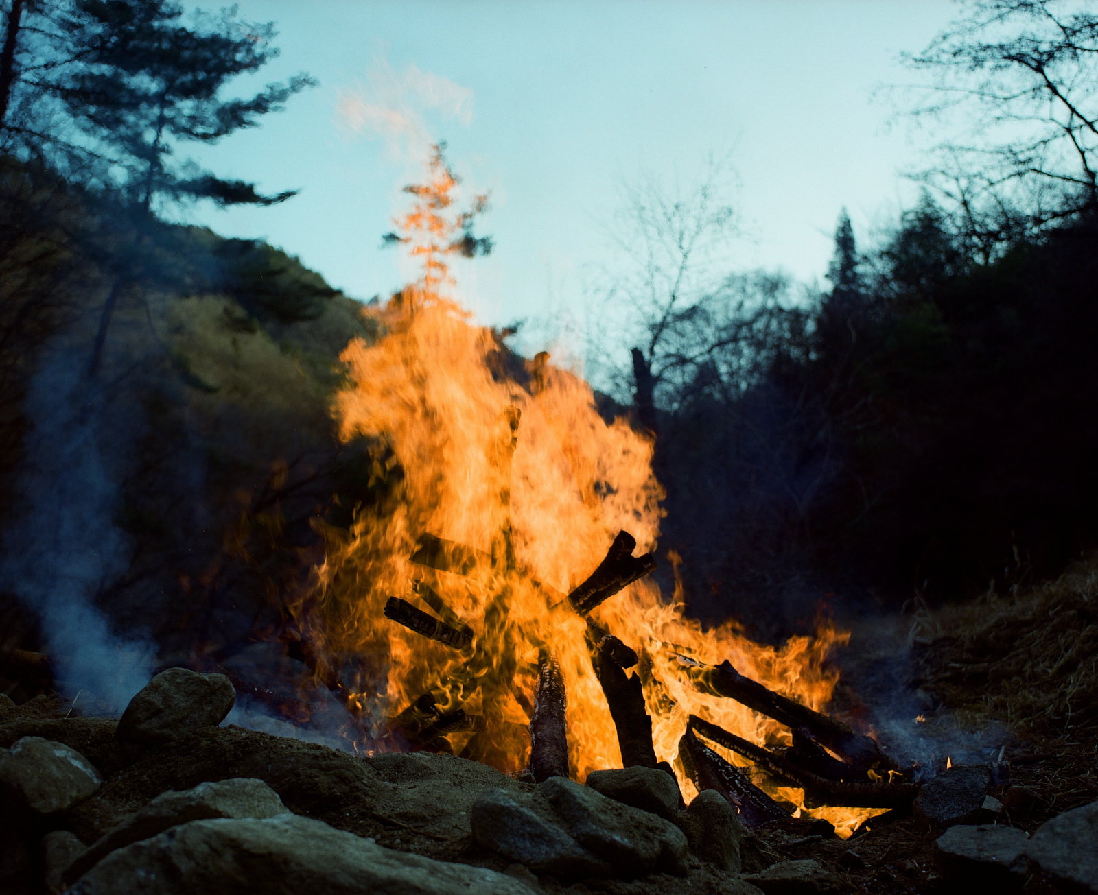 Sawaki Ryohei | 澤木亮平, Home image