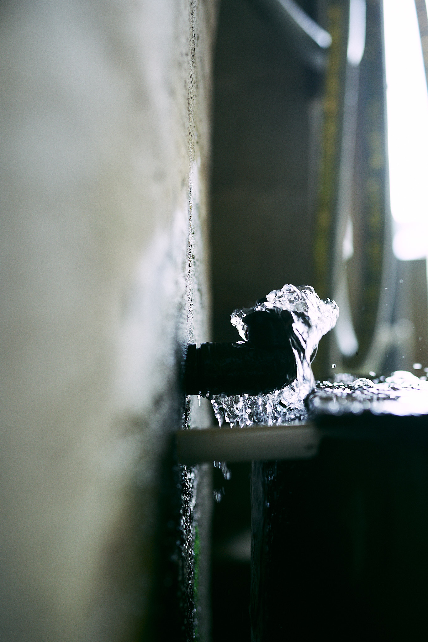 Sawaki Ryohei | 澤木亮平, Arita image