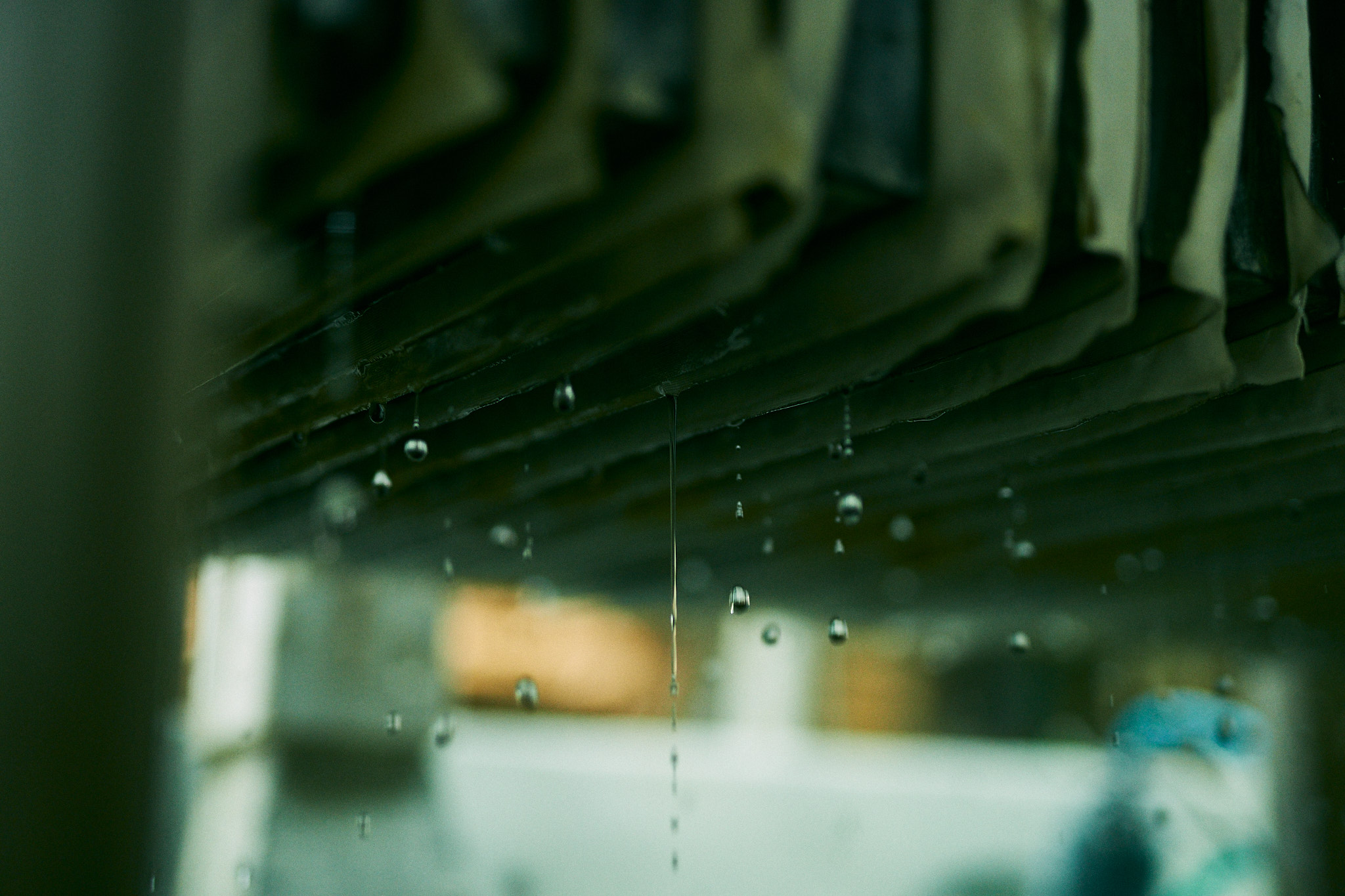 Sawaki Ryohei | 澤木亮平, Arita image