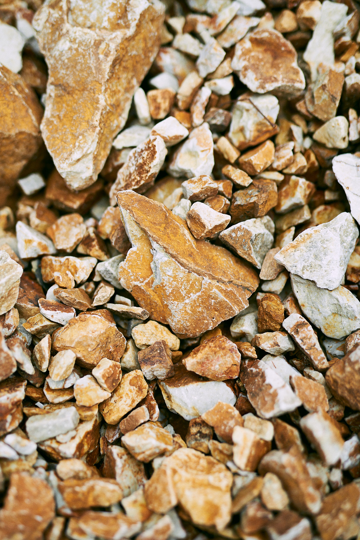 Sawaki Ryohei | 澤木亮平, Works image