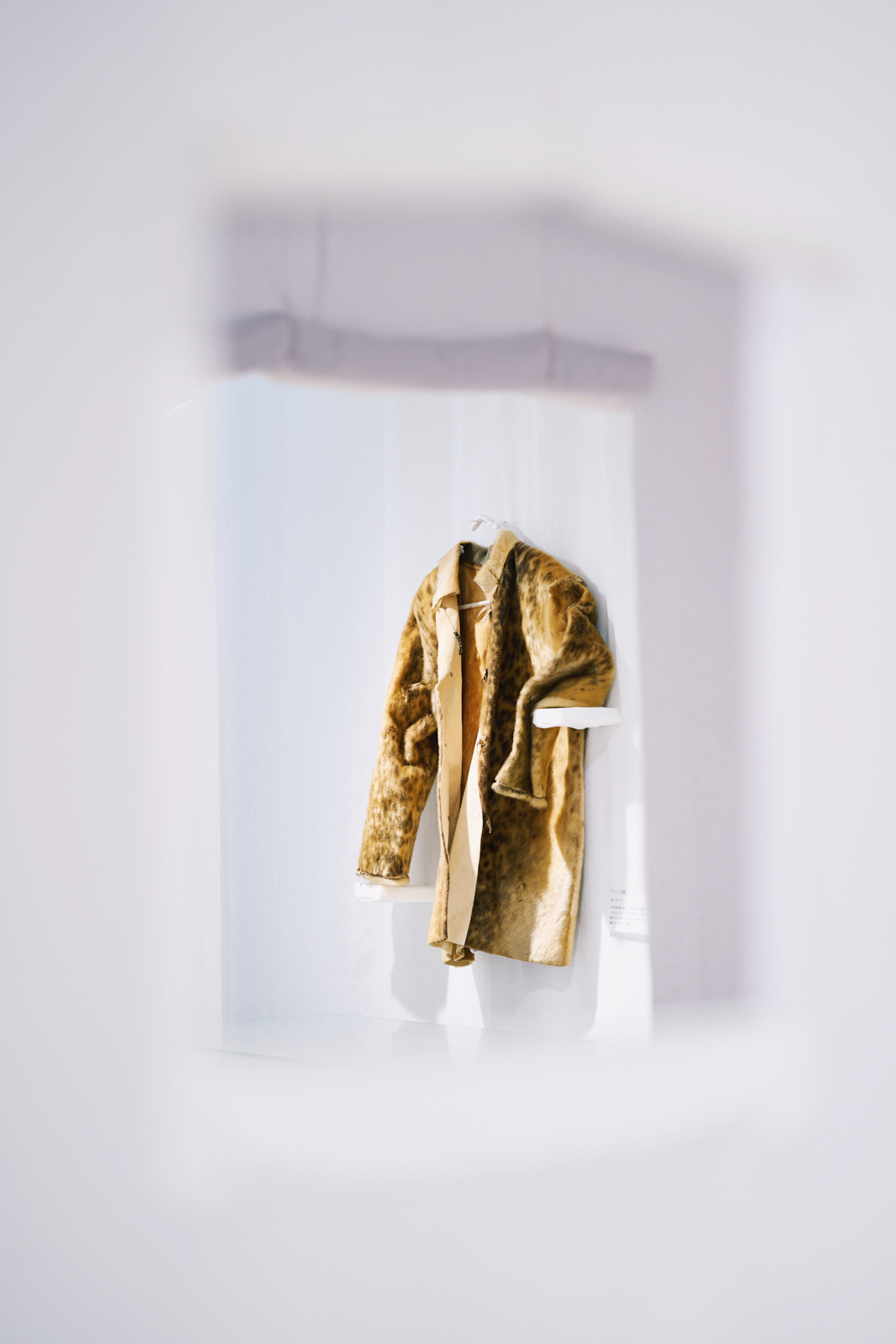 Sawaki Ryohei | 澤木亮平, jakka-duxuni image