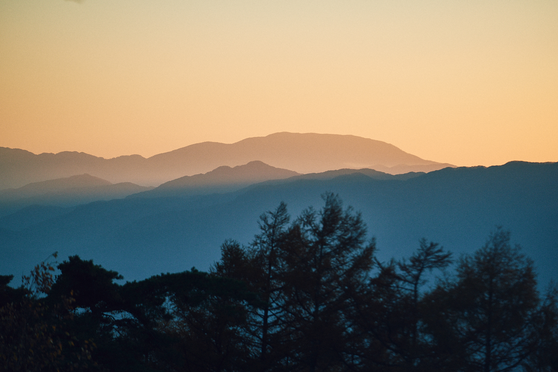 Sawaki Ryohei | 澤木亮平, JINBA image