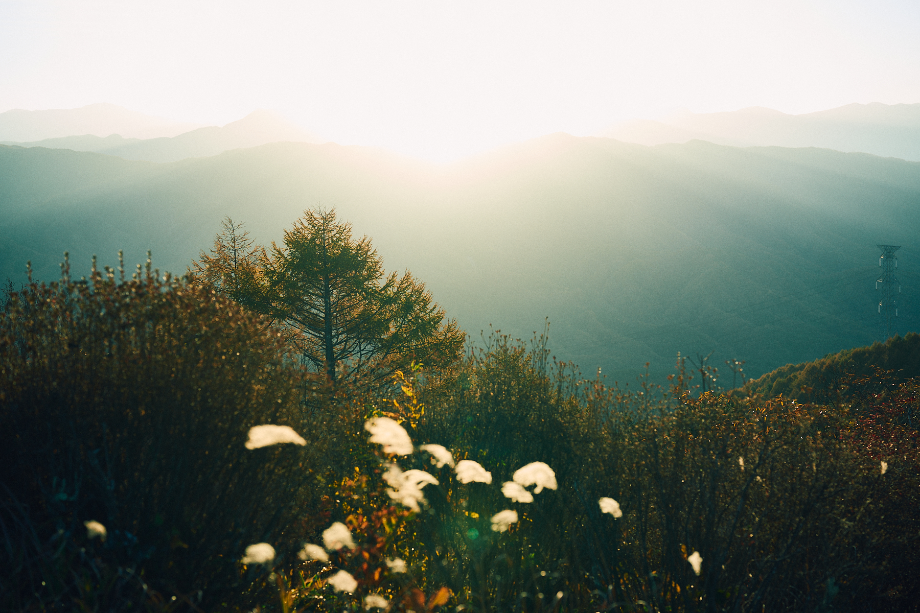 Sawaki Ryohei | 澤木亮平, JINBA image