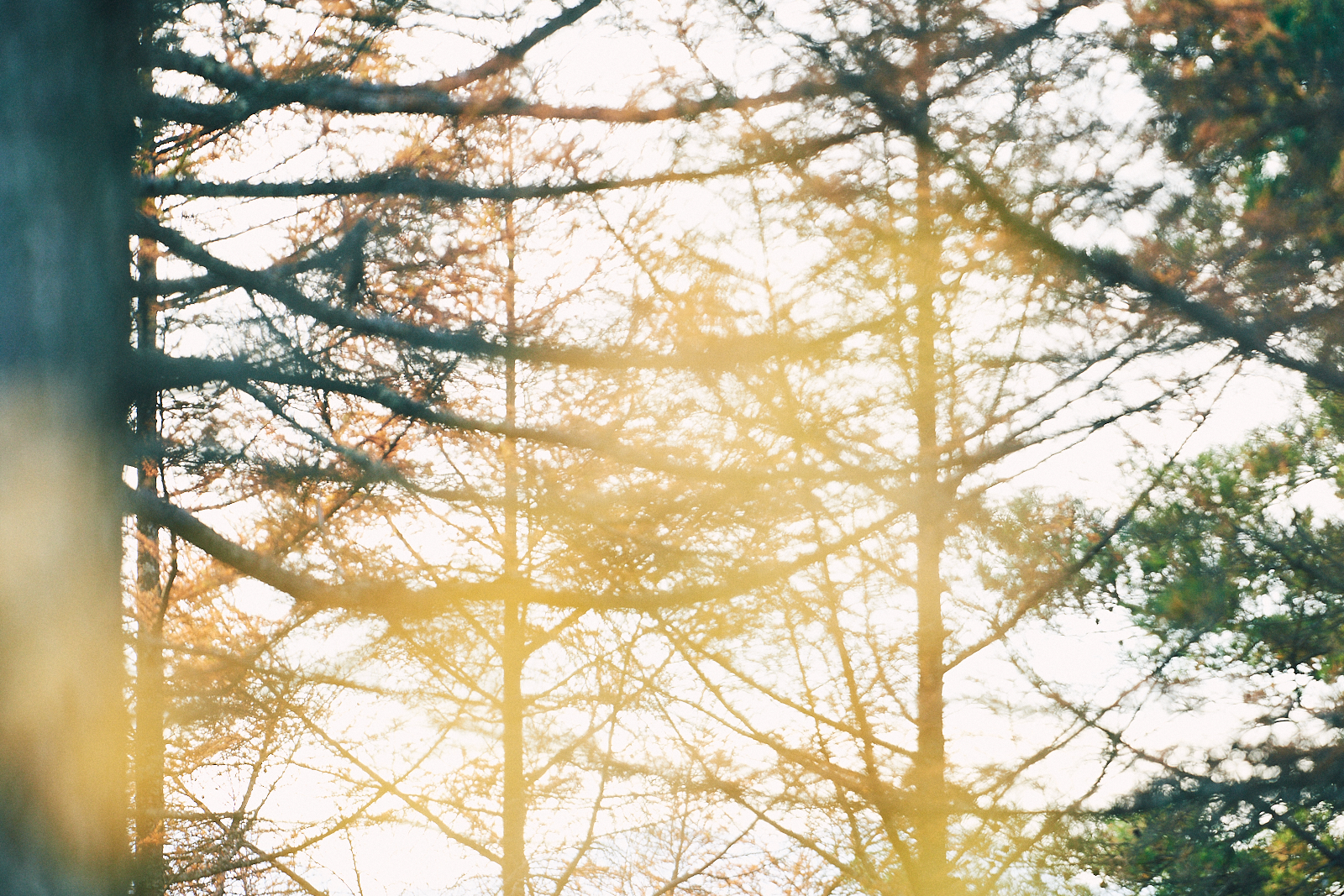 Sawaki Ryohei | 澤木亮平, JINBA image