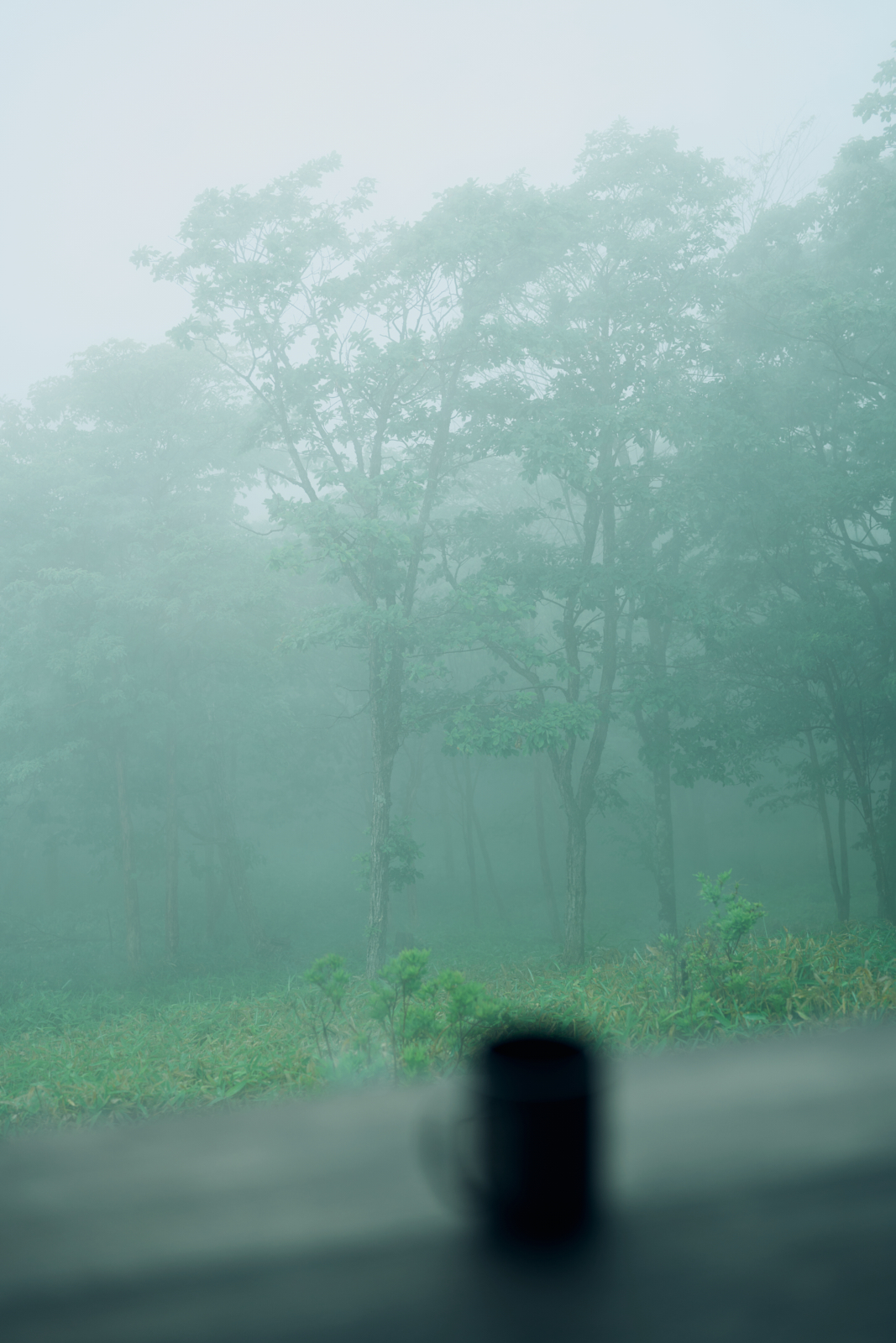 Sawaki Ryohei | 澤木亮平, KINO image