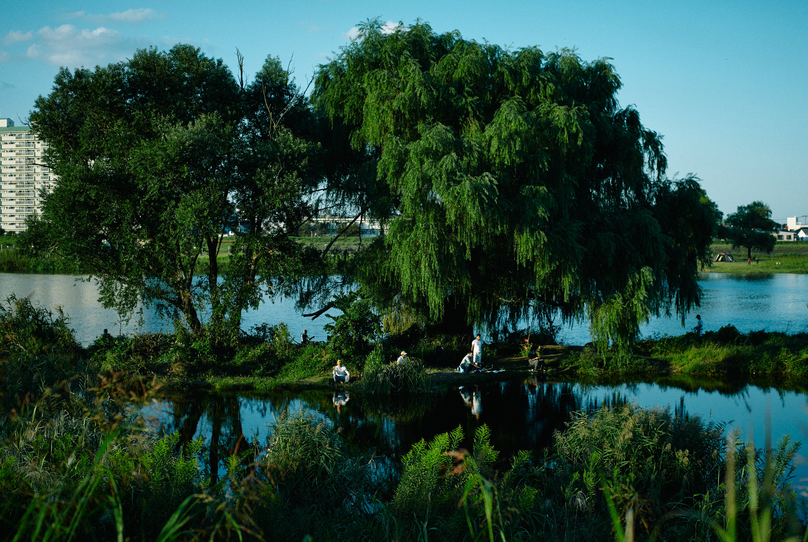 Sawaki Ryohei | 澤木亮平, Landscape image