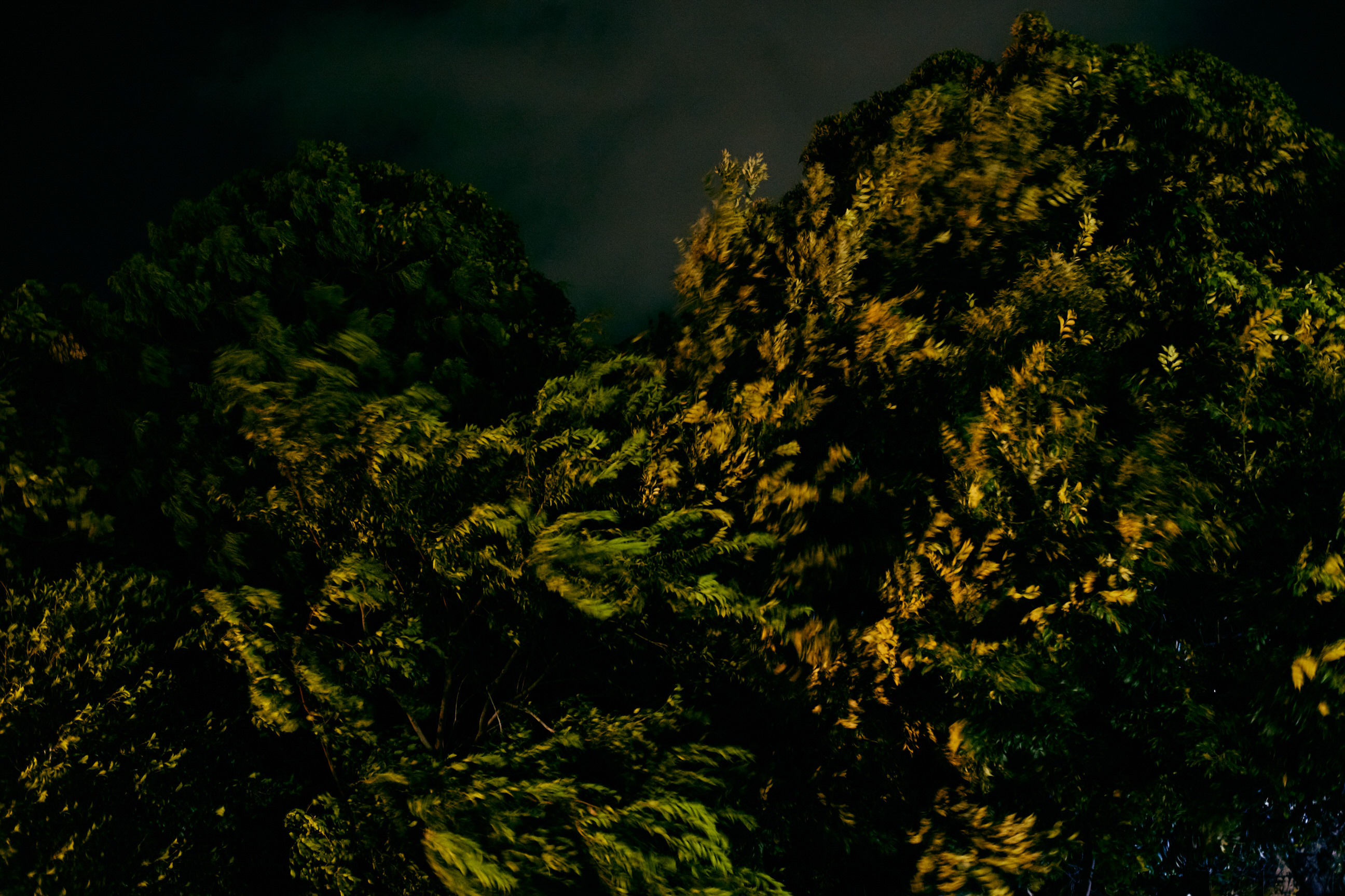 Sawaki Ryohei | 澤木亮平, Landscape image