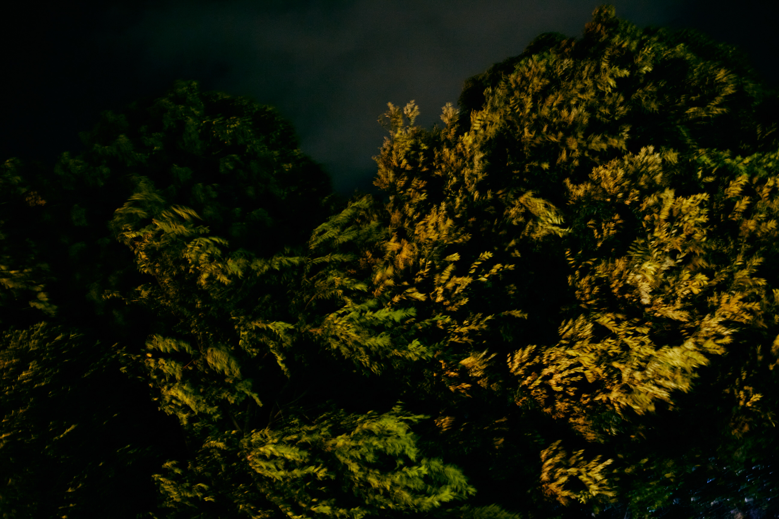 Sawaki Ryohei | 澤木亮平, Landscape image