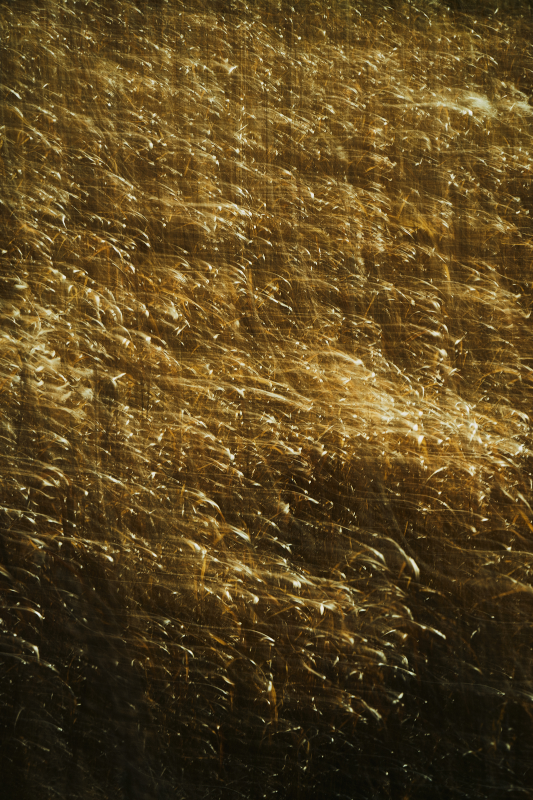 Sawaki Ryohei | 澤木亮平, Works image