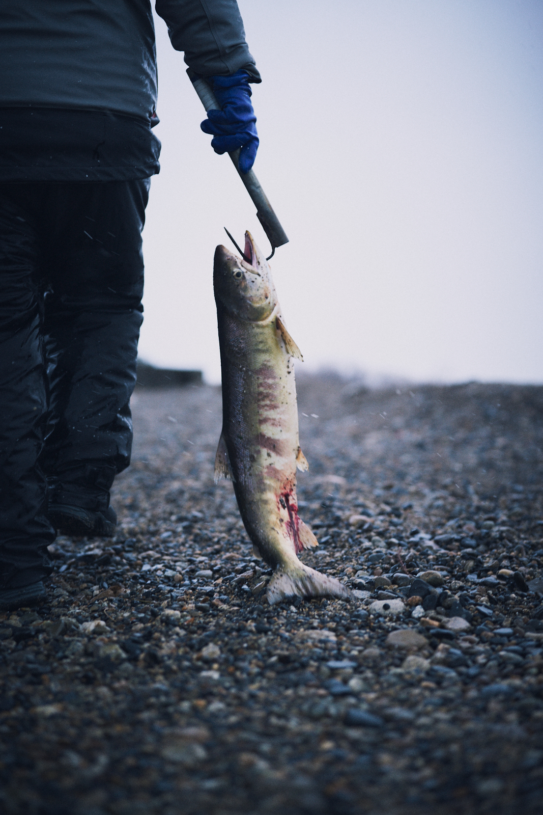 Sawaki Ryohei | 澤木亮平, Sake image
