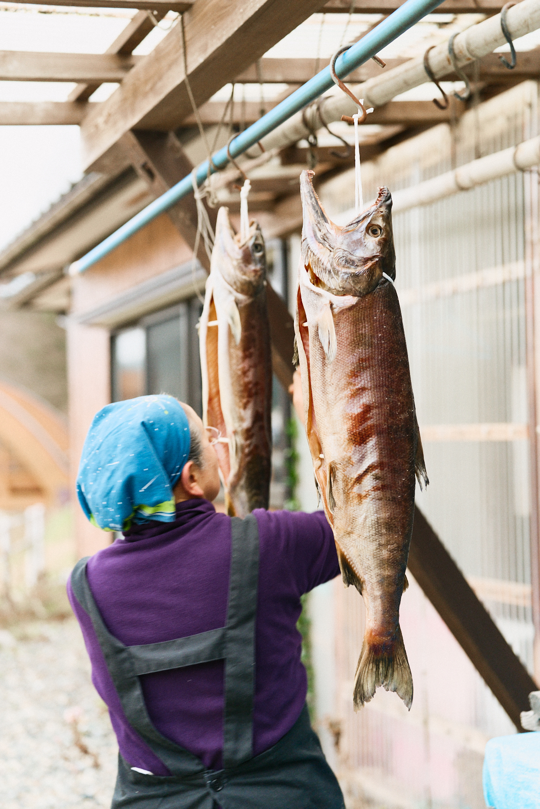 Sawaki Ryohei | 澤木亮平, Sake image