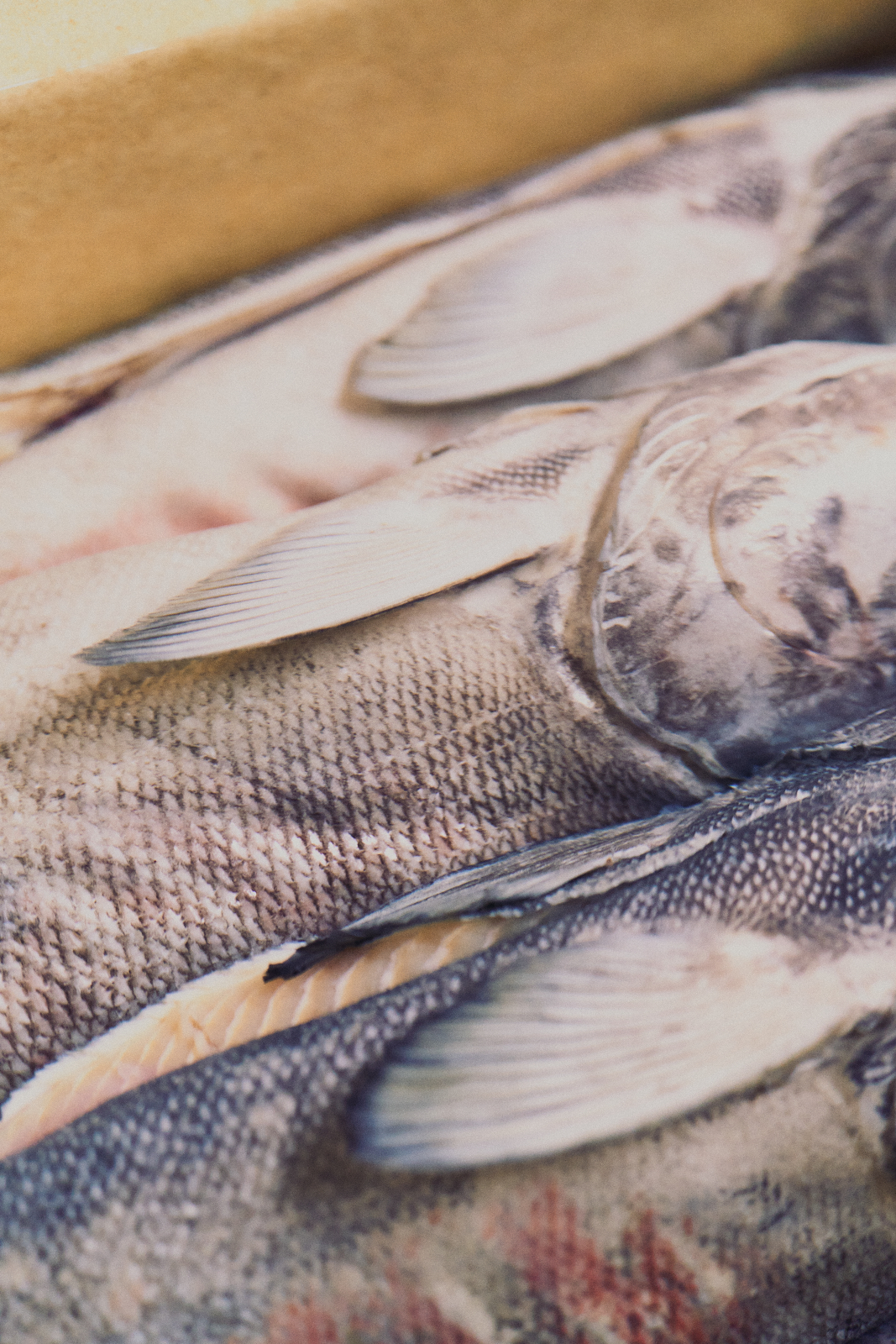 Sawaki Ryohei | 澤木亮平, Sake image