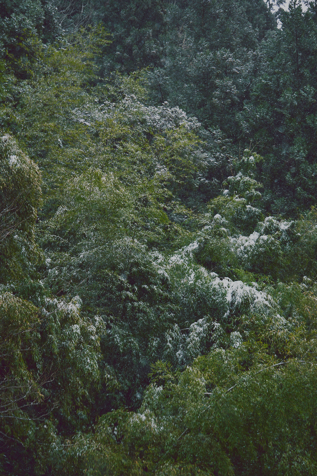 Sawaki Ryohei | 澤木亮平, Sake image