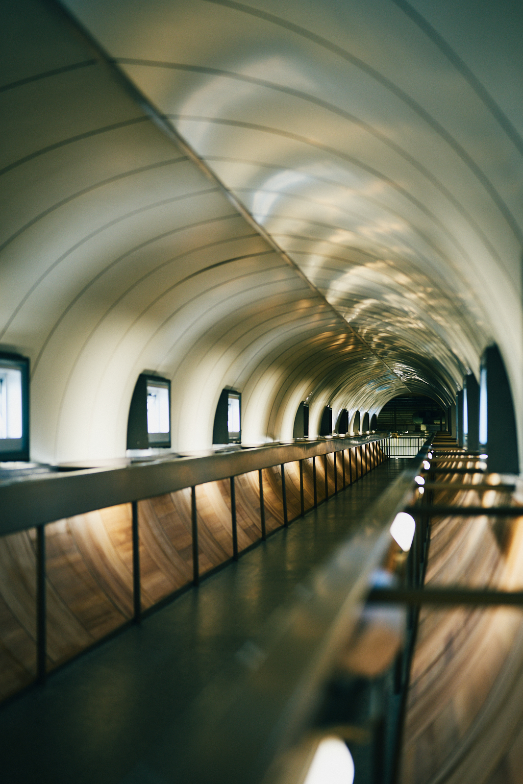 Sawaki Ryohei | 澤木亮平, Tendo image