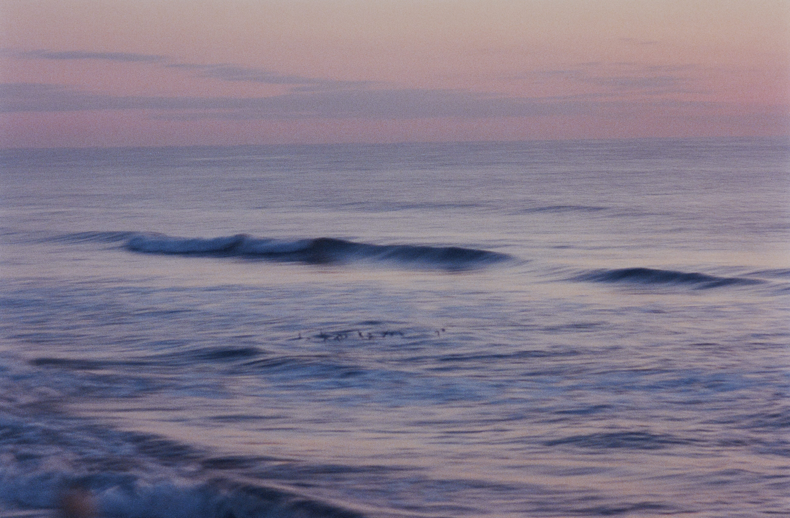 Sawaki Ryohei | 澤木亮平, Trout image