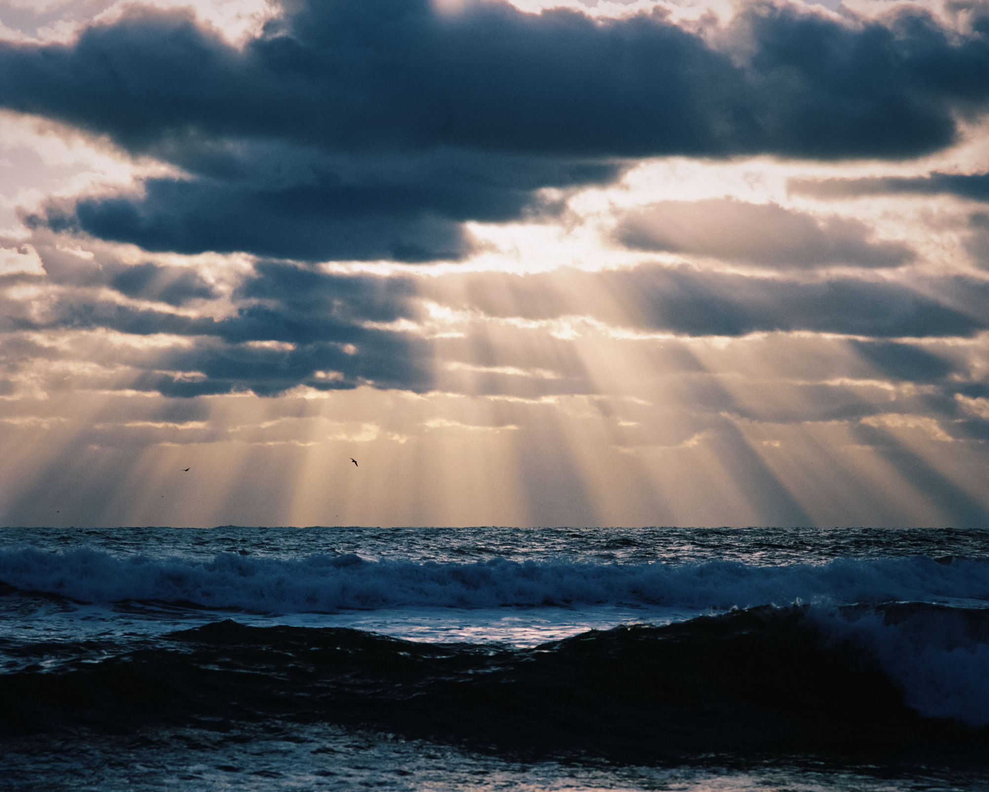 Sawaki Ryohei | 澤木亮平, Trout image