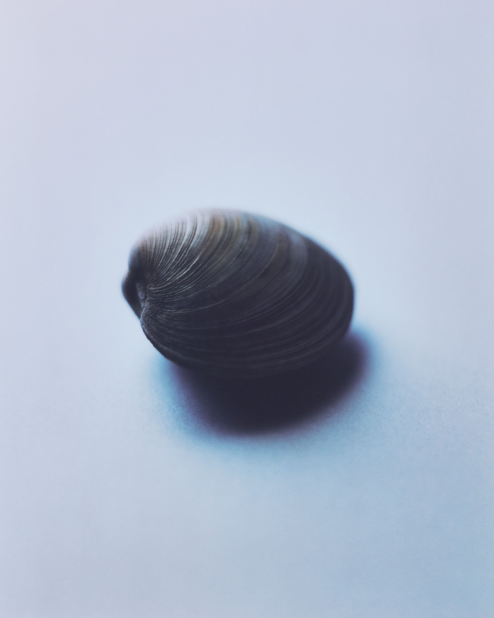 Sawaki Ryohei | 澤木亮平, Home image