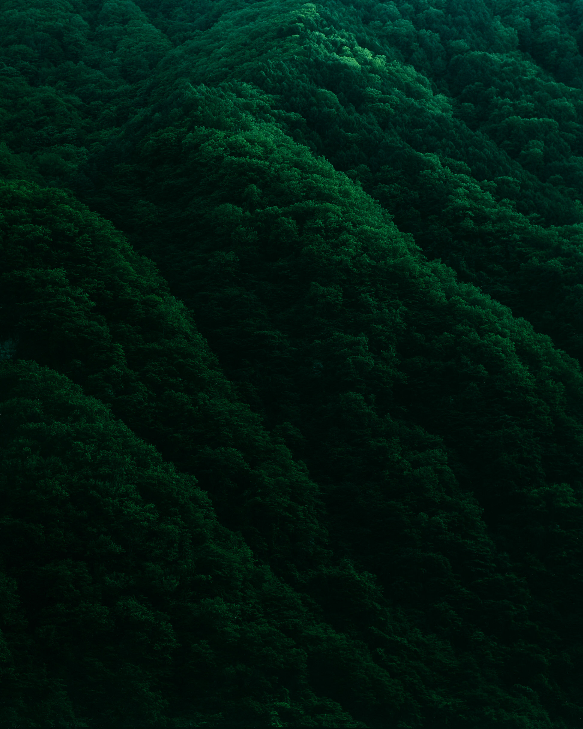 Sawaki Ryohei | 澤木亮平, Works image