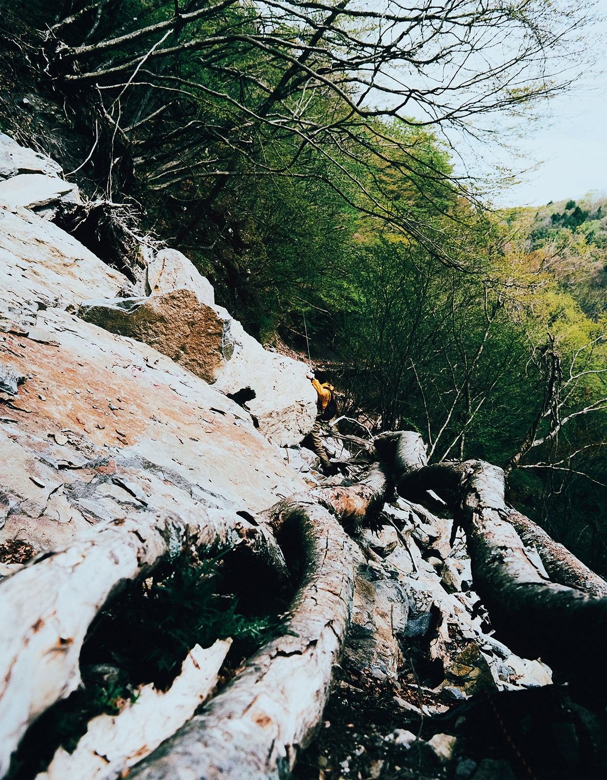 Sawaki Ryohei | 澤木亮平, Yama-dzuri image