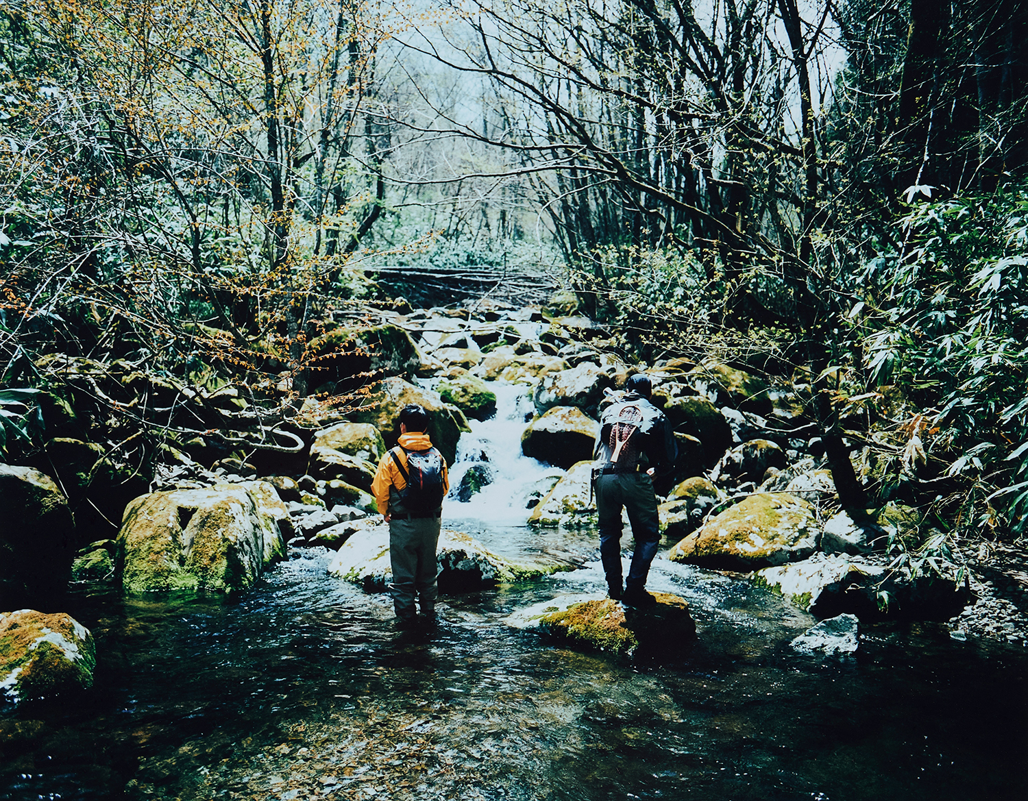 Sawaki Ryohei | 澤木亮平, Yama-dzuri image