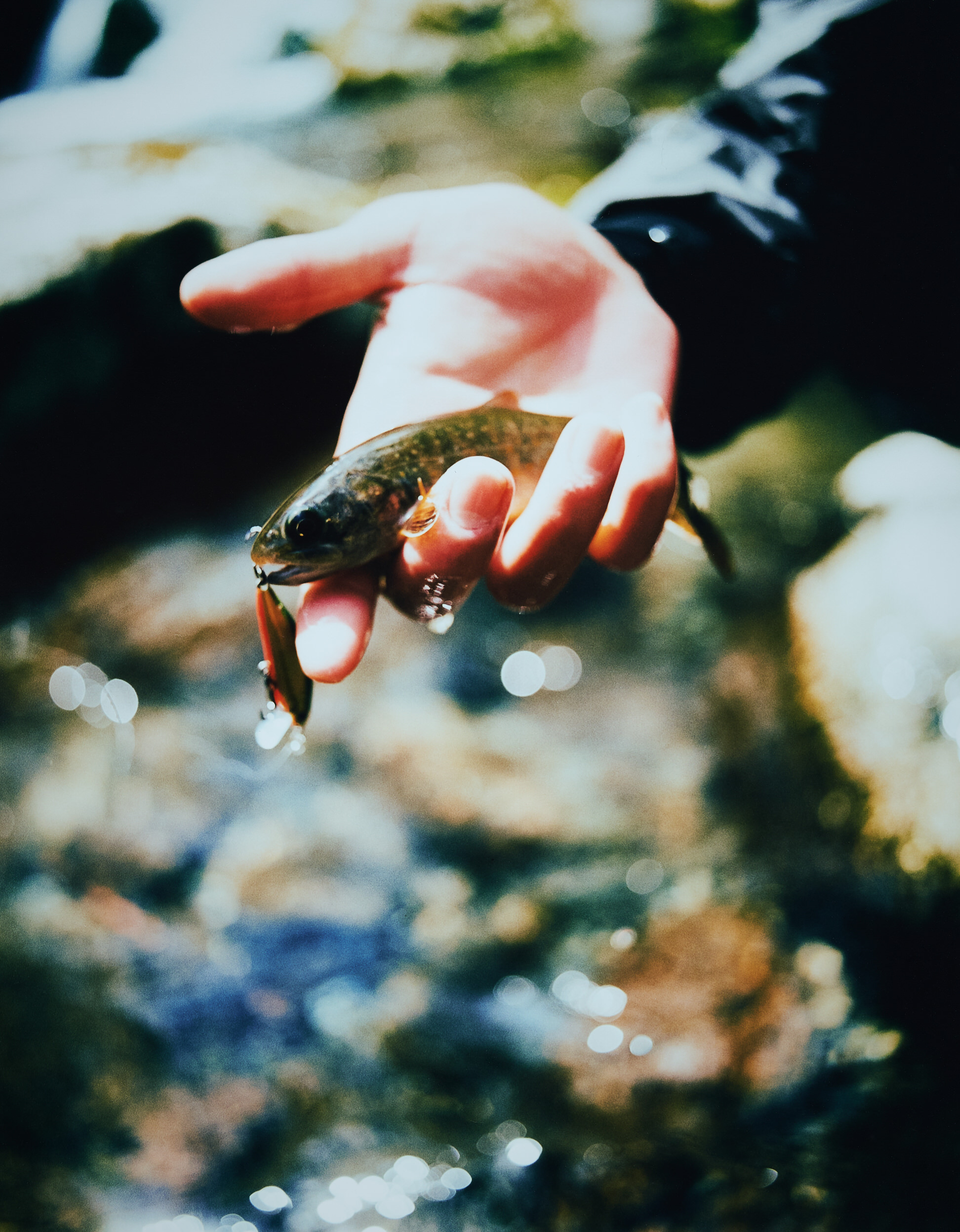 Sawaki Ryohei | 澤木亮平, Yama-dzuri image