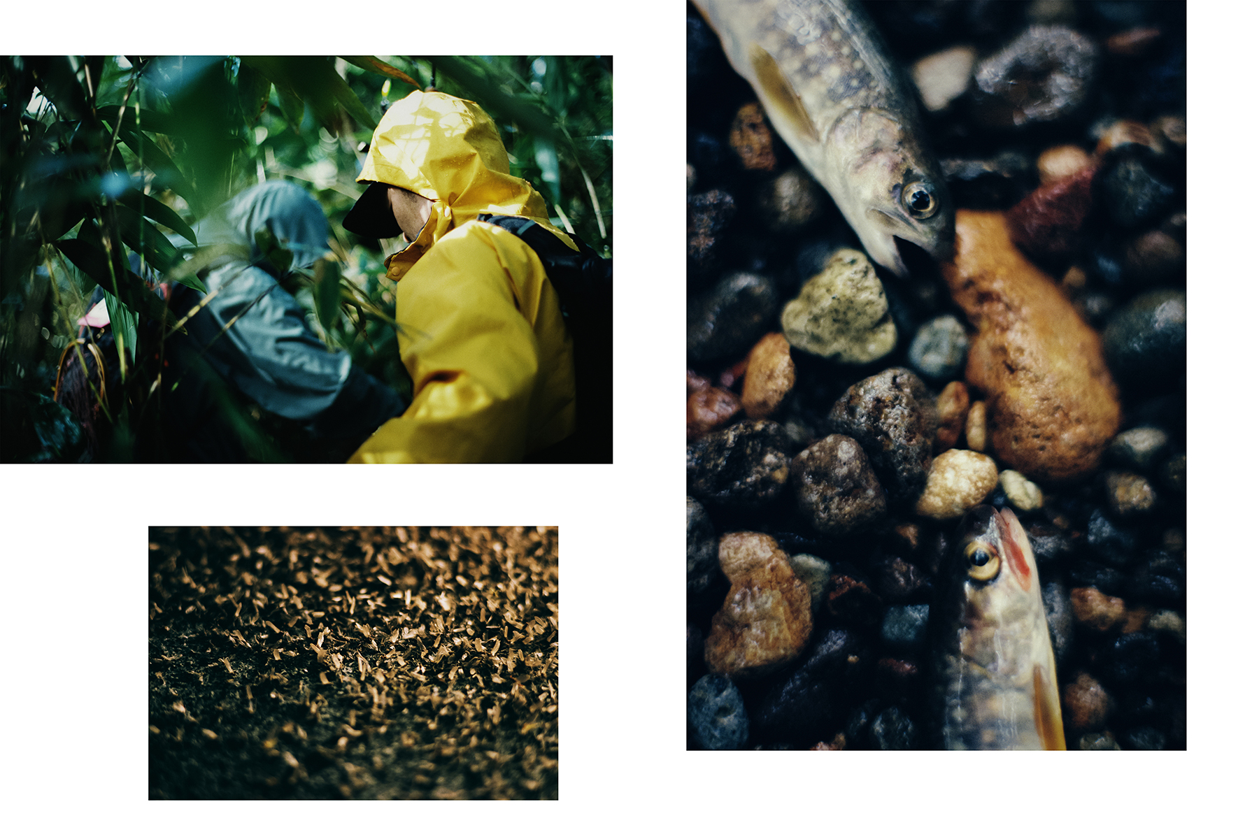 Sawaki Ryohei | 澤木亮平, Yama-dzuri image