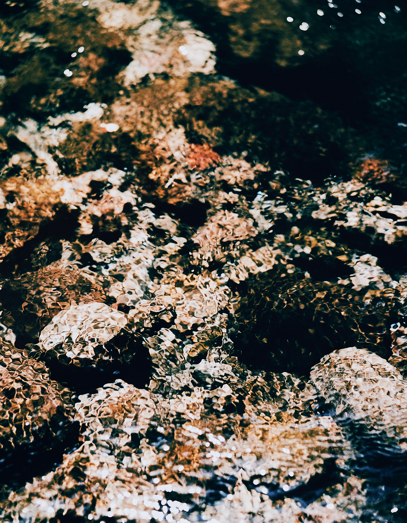 Sawaki Ryohei | 澤木亮平, Yama-dzuri image