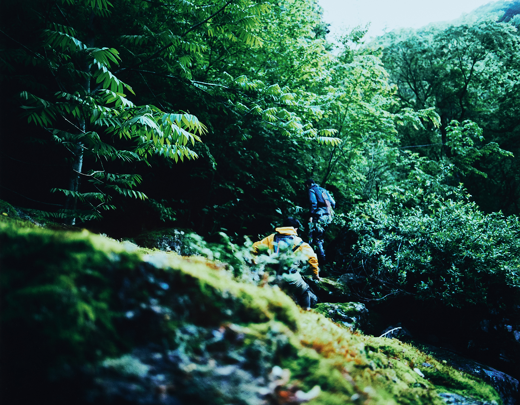 Sawaki Ryohei | 澤木亮平, Yama-dzuri image
